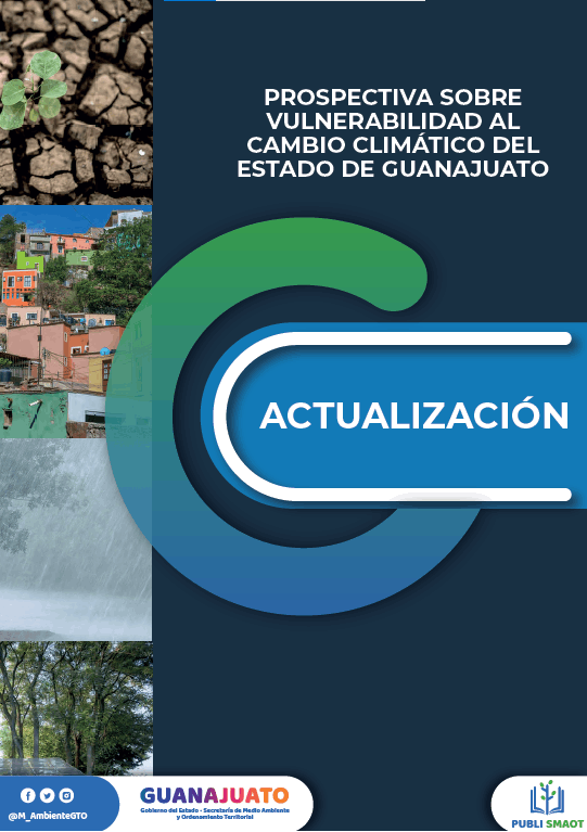 Vulnerabilidad