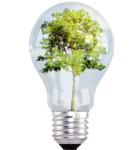 Cambio Climático