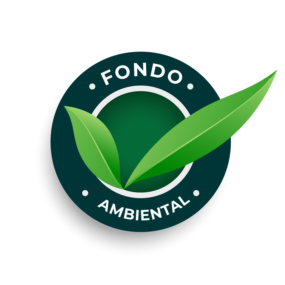 Logo FOAM